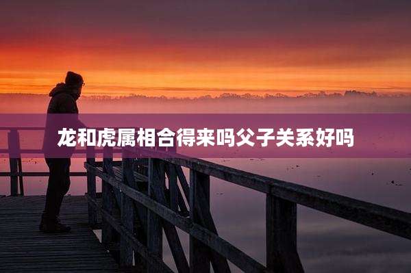 龙和虎属相合得来吗父子关系好吗