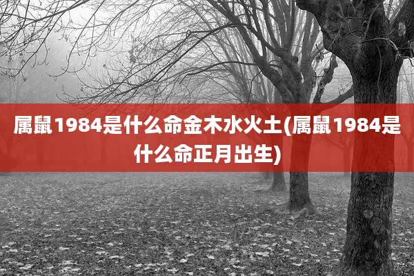 属鼠1984是什么命金木水火土(属鼠1984是什么命正月出生)