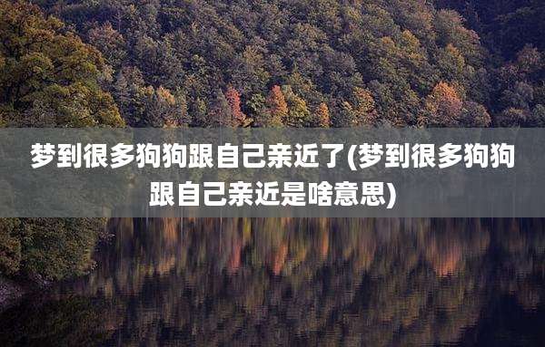 梦到很多狗狗跟自己亲近了(梦到很多狗狗跟自己亲近是啥意思)