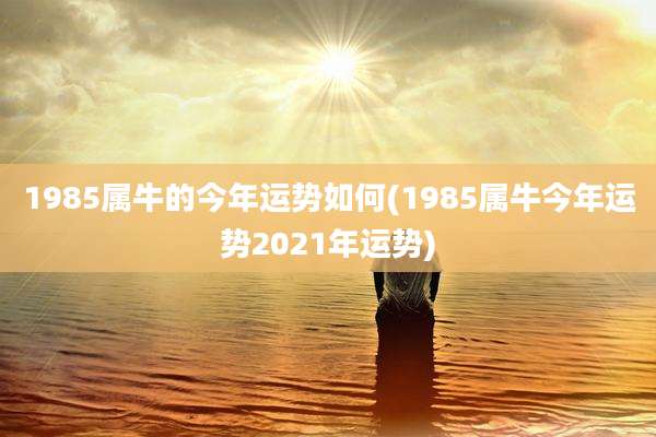 1985属牛的今年运势如何(1985属牛今年运势2021年运势)