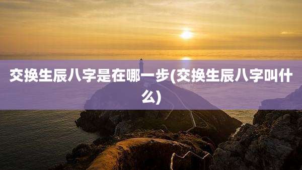 交换生辰八字是在哪一步(交换生辰八字叫什么)
