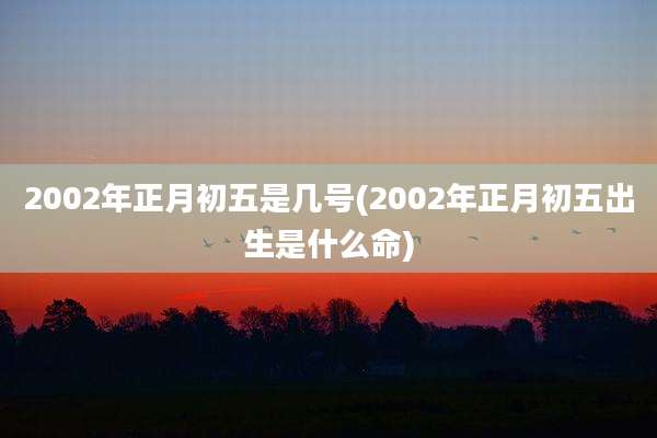2002年正月初五是几号(2002年正月初五出生是什么命)