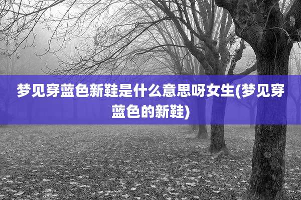 梦见穿蓝色新鞋是什么意思呀女生(梦见穿蓝色的新鞋)