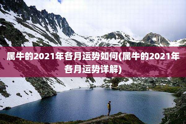 属牛的2021年各月运势如何(属牛的2021年各月运势详解)