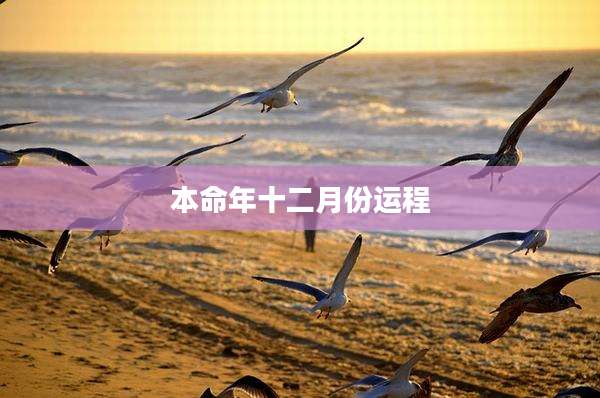 本命年十二月份运程