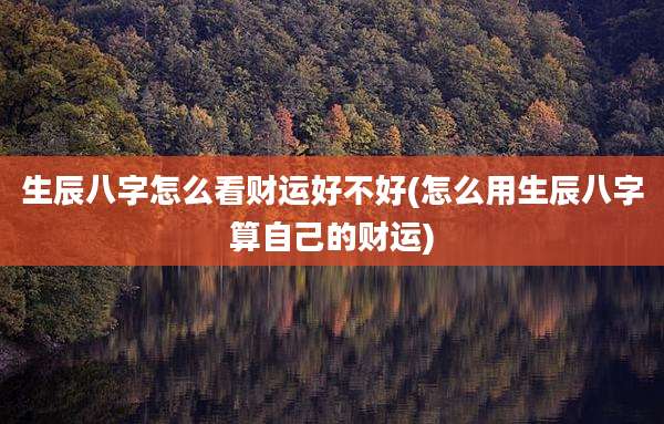 生辰八字怎么看财运好不好(怎么用生辰八字算自己的财运)