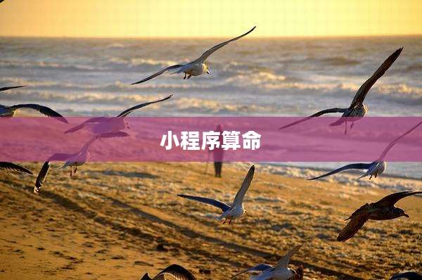 小程序算命
