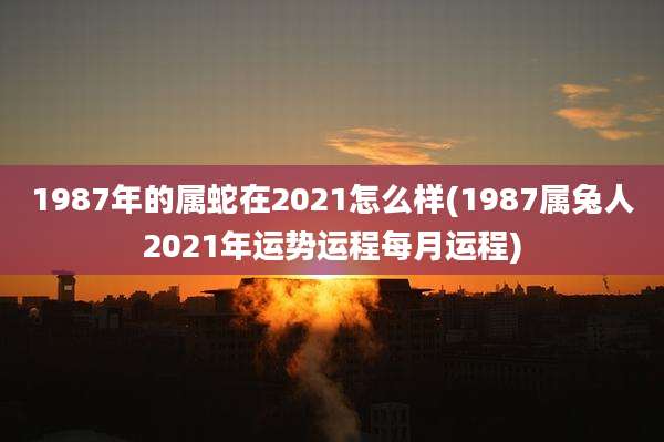 1987年的属蛇在2021怎么样(1987属兔人2021年运势运程每月运程)