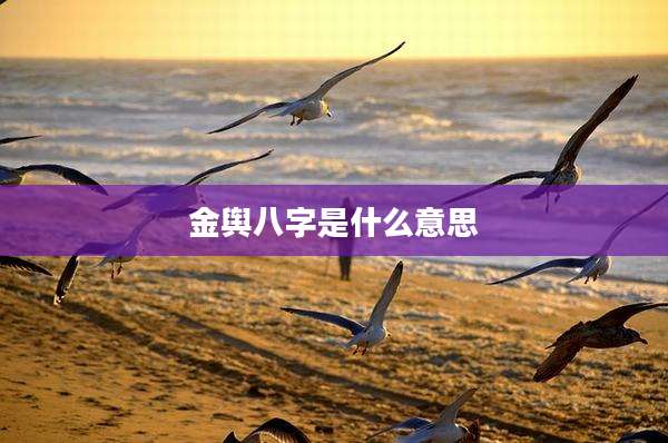金舆八字是什么意思