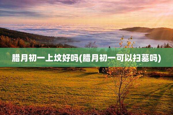 腊月初一上坟好吗(腊月初一可以扫墓吗)