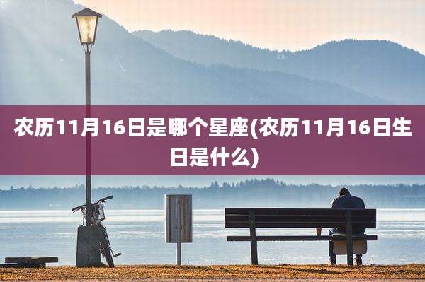 农历11月16日是哪个星座(农历11月16日生日是什么)