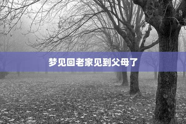 梦见回老家见到父母了