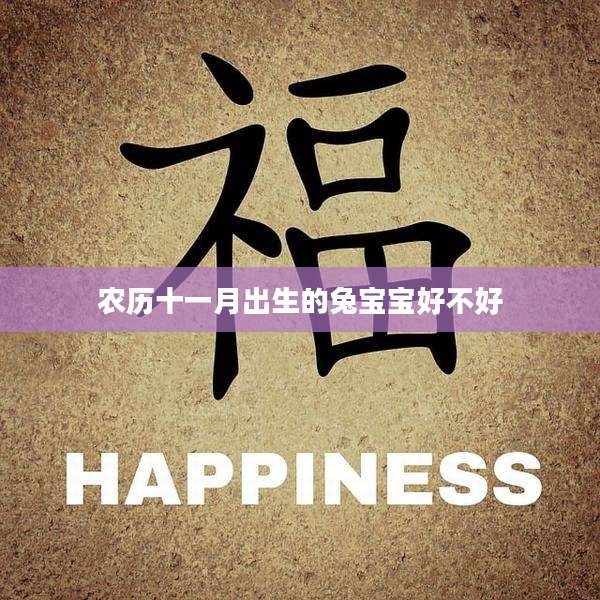 农历十一月出生的兔宝宝好不好