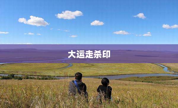 大运走杀印