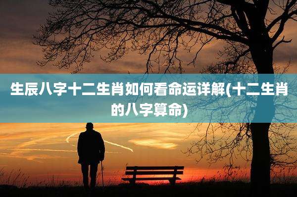 生辰八字十二生肖如何看命运详解(十二生肖的八字算命)