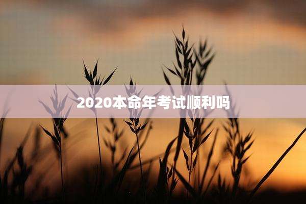 2020本命年考试顺利吗