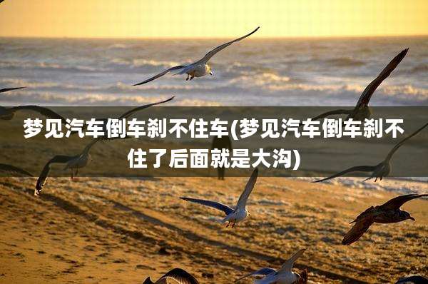 梦见汽车倒车刹不住车(梦见汽车倒车刹不住了后面就是大沟)