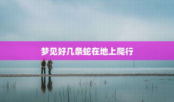梦见好几条蛇在地上爬行