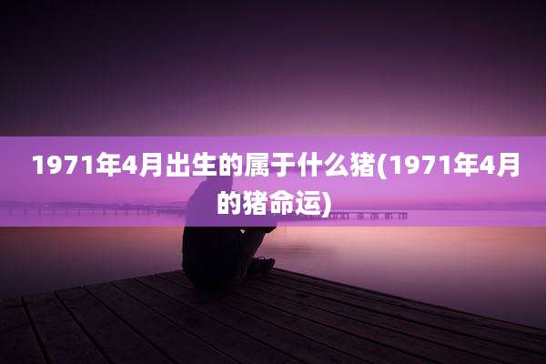 1971年4月出生的属于什么猪(1971年4月的猪命运)