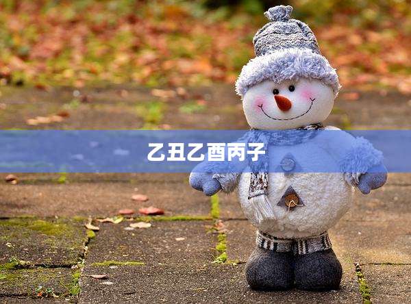乙丑乙酉丙子