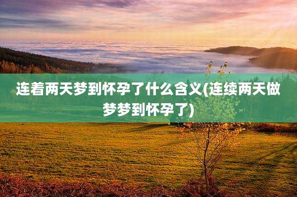 连着两天梦到怀孕了什么含义(连续两天做梦梦到怀孕了)
