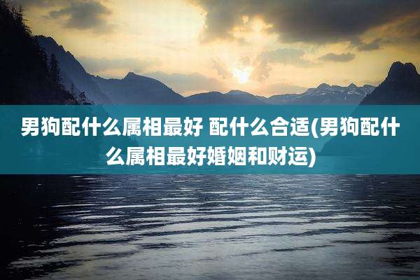 男狗配什么属相最好 配什么合适(男狗配什么属相最好婚姻和财运)