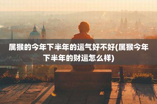 属猴的今年下半年的运气好不好(属猴今年下半年的财运怎么样)