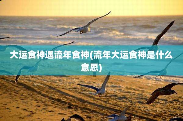 大运食神遇流年食神(流年大运食神是什么意思)