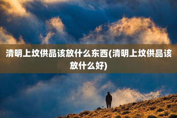 清明上坟供品该放什么东西(清明上坟供品该放什么好)
