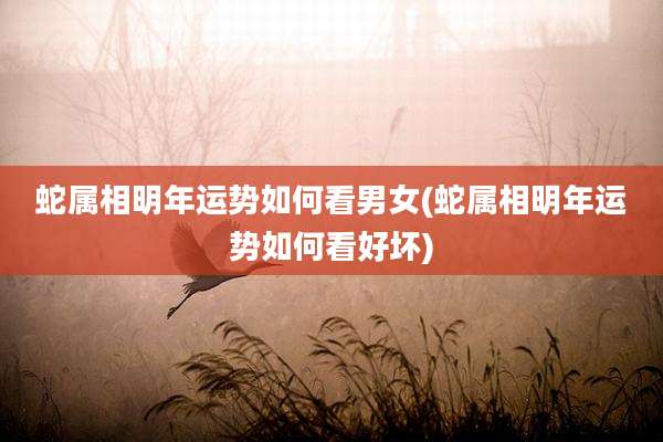蛇属相明年运势如何看男女(蛇属相明年运势如何看好坏)