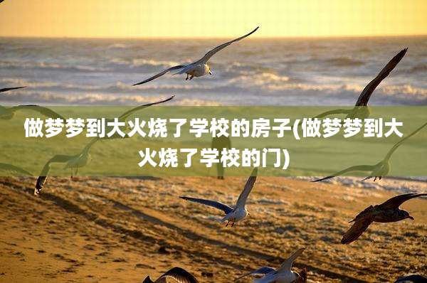 做梦梦到大火烧了学校的房子(做梦梦到大火烧了学校的门)