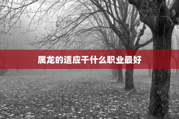属龙的适应干什么职业最好