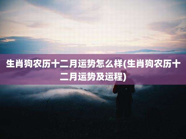 生肖狗农历十二月运势怎么样(生肖狗农历十二月运势及运程)