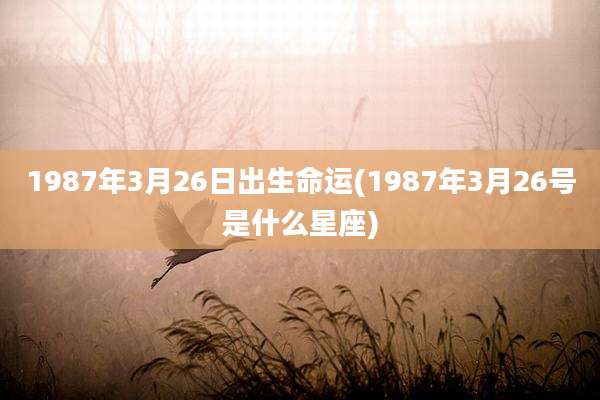 1987年3月26日出生命运(1987年3月26号是什么星座)