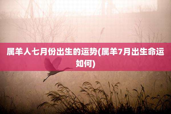 属羊人七月份出生的运势(属羊7月出生命运如何)