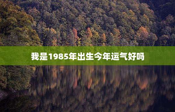 我是1985年出生今年运气好吗
