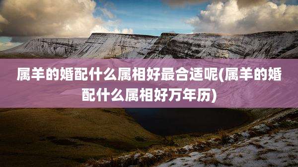 属羊的婚配什么属相好最合适呢(属羊的婚配什么属相好万年历)