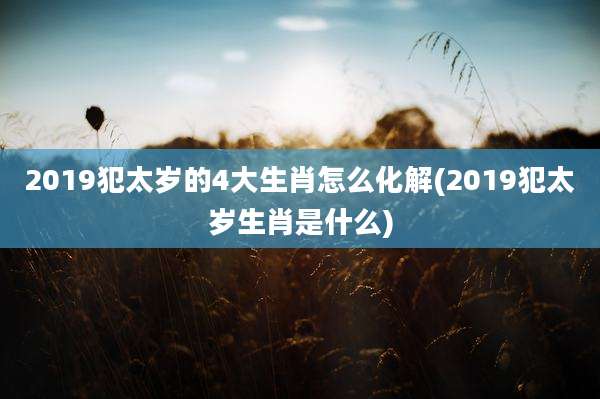 2019犯太岁的4大生肖怎么化解(2019犯太岁生肖是什么)