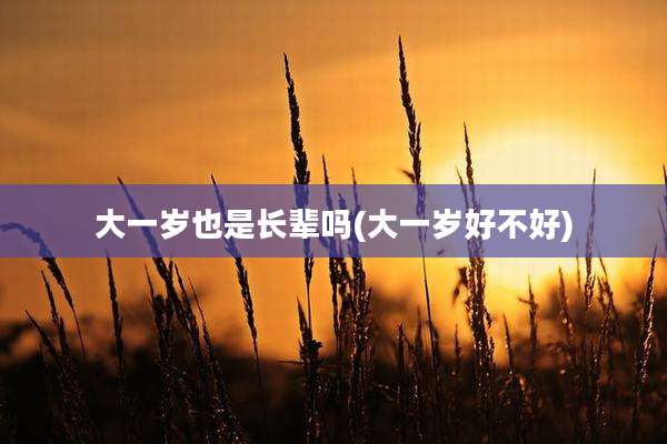 大一岁也是长辈吗(大一岁好不好)