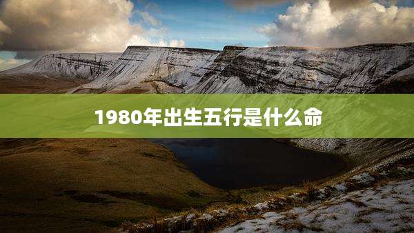1980年出生五行是什么命