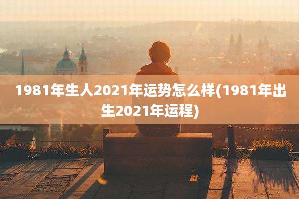 1981年生人2021年运势怎么样(1981年出生2021年运程)