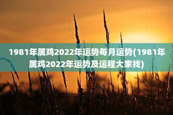1981年属鸡2022年运势每月运势(1981年属鸡2022年运势及运程大家找)