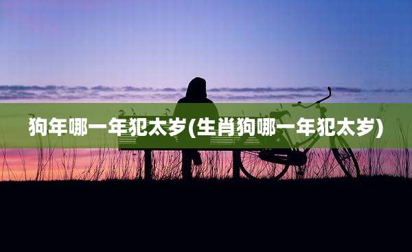 狗年哪一年犯太岁(生肖狗哪一年犯太岁)