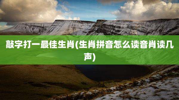敲字打一最佳生肖(生肖拼音怎么读音肖读几声)