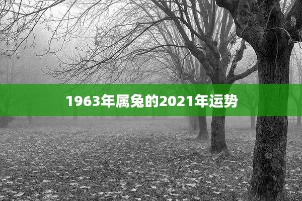 1963年属兔的2021年运势