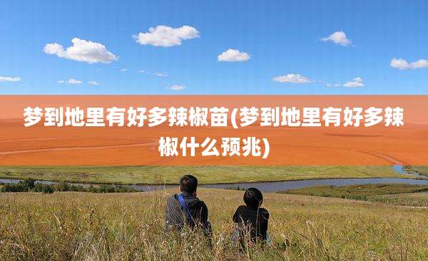 梦到地里有好多辣椒苗(梦到地里有好多辣椒什么预兆)