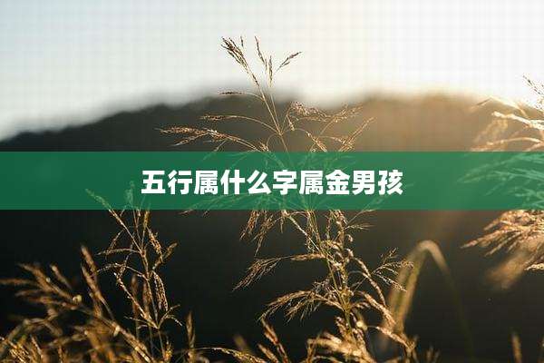 五行属什么字属金男孩