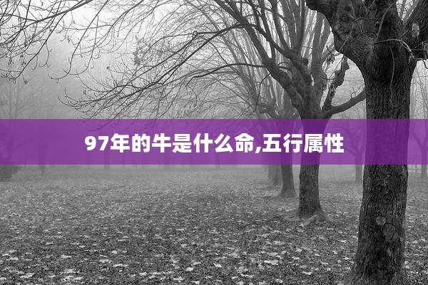 97年的牛是什么命,五行属性