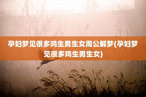孕妇梦见很多鸡生男生女周公解梦(孕妇梦见很多鸡生男生女)