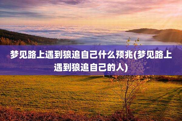 梦见路上遇到狼追自己什么预兆(梦见路上遇到狼追自己的人)